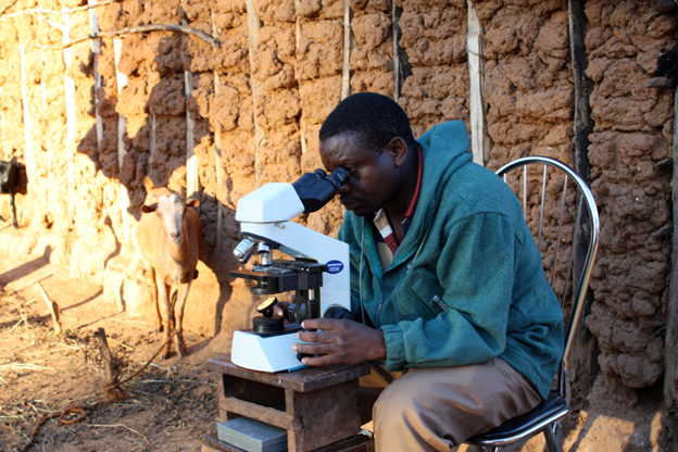 Man using microscope. 